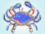 crab-fishsargent1a